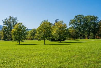 Terrain constructible de 1281 m²